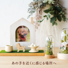 画像をギャラリービューアに読み込む, コルクフラワーガラスドーム 【あの子の庭 ー 小径】NEW!
