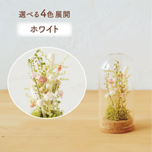 画像をギャラリービューアに読み込む, コルクフラワーガラスドーム 【あの子の庭 ー 小径】NEW!