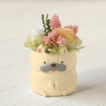 画像をギャラリービューアに読み込む, 小さな家族 フレンチブルドッグ クリーム