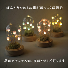 画像をギャラリービューアに読み込む, LEDフラワーガラスドーム 【あの子の庭 ー 野の花】