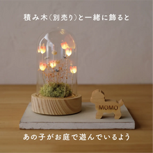 画像をギャラリービューアに読み込む, LEDフラワーガラスドーム 【あの子の庭 ー 野の花】