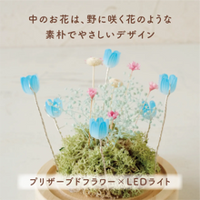 画像をギャラリービューアに読み込む, LEDフラワーガラスドーム 【あの子の庭 ー 野の花】