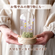 画像をギャラリービューアに読み込む, LEDフラワーガラスドーム 【あの子の庭 ー 野の花】