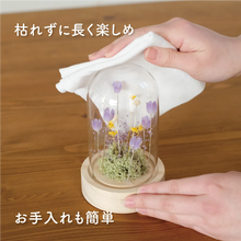 画像をギャラリービューアに読み込む, LEDフラワーガラスドーム 【あの子の庭 ー 野の花】