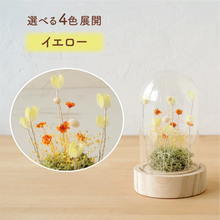 画像をギャラリービューアに読み込む, LEDフラワーガラスドーム 【あの子の庭 ー 野の花】