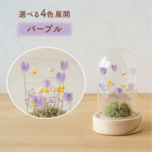画像をギャラリービューアに読み込む, LEDフラワーガラスドーム 【あの子の庭 ー 野の花】