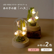 画像をギャラリービューアに読み込む, LEDフラワーガラスドーム 【あの子の庭 ー ハス】NEW!