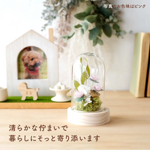 画像をギャラリービューアに読み込む, LEDフラワーガラスドーム 【あの子の庭 ー ハス】NEW!