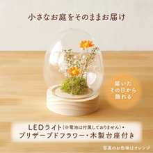 画像をギャラリービューアに読み込む, LEDフラワーガラスドーム 【あの子の庭 ー たまご】NEW!