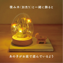 画像をギャラリービューアに読み込む, LEDフラワーガラスドーム 【あの子の庭 ー たまご】NEW!