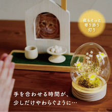画像をギャラリービューアに読み込む, LEDフラワーガラスドーム 【あの子の庭 ー たまご】NEW!