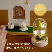 画像をギャラリービューアに読み込む, LEDフラワーガラスドーム 【あの子の庭 ー ハス】NEW!