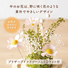 画像をギャラリービューアに読み込む, LEDフラワーガラスドーム 【あの子の庭 ー たまご】NEW!
