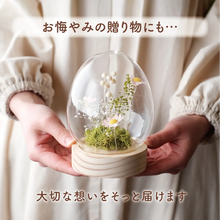 画像をギャラリービューアに読み込む, LEDフラワーガラスドーム 【あの子の庭 ー たまご】NEW!