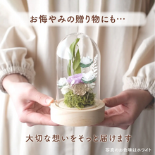 画像をギャラリービューアに読み込む, LEDフラワーガラスドーム 【あの子の庭 ー ハス】NEW!