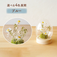 画像をギャラリービューアに読み込む, LEDフラワーガラスドーム 【あの子の庭 ー たまご】NEW!