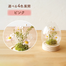 画像をギャラリービューアに読み込む, LEDフラワーガラスドーム 【あの子の庭 ー たまご】NEW!