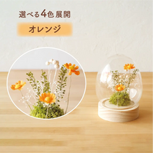 画像をギャラリービューアに読み込む, LEDフラワーガラスドーム 【あの子の庭 ー たまご】NEW!