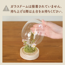 画像をギャラリービューアに読み込む, LEDフラワーガラスドーム 【あの子の庭 ー たまご】NEW!