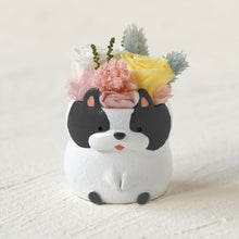 画像をギャラリービューアに読み込む, 小さな家族 フレンチブルドッグ パイド(白黒)