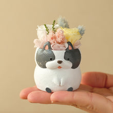 画像をギャラリービューアに読み込む, 小さな家族 フレンチブルドッグ パイド(白黒)