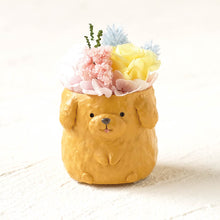 画像をギャラリービューアに読み込む, 小さな家族 トイプードル アプリコット
