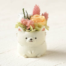 画像をギャラリービューアに読み込む, 小さな家族 チワワ ホワイト