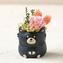 画像をギャラリービューアに読み込む, 小さな家族 チワワ ブラックタン