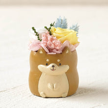 画像をギャラリービューアに読み込む, 小さな家族 柴犬 アカ