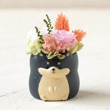 画像をギャラリービューアに読み込む, 小さな家族 柴犬 クロ