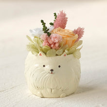 画像をギャラリービューアに読み込む, 小さな家族 ポメラニアン ホワイト