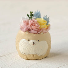 画像をギャラリービューアに読み込む, 小さな家族 ポメラニアン クリーム