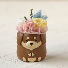 画像をギャラリービューアに読み込む, 小さな家族 ダックス チョコ&タン