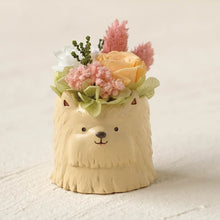 画像をギャラリービューアに読み込む, 小さな家族 ヨークシャーテリア ゴールド