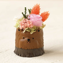 画像をギャラリービューアに読み込む, 小さな家族 ヨークシャーテリア ブラック&タン