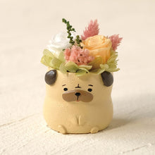 画像をギャラリービューアに読み込む, 小さな家族 パグ フォーン