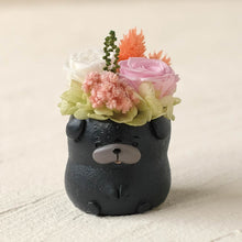 画像をギャラリービューアに読み込む, 小さな家族 パグ クロ