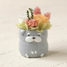 画像をギャラリービューアに読み込む, 小さな家族 シュナウザー ソルト&ペッパー 薄