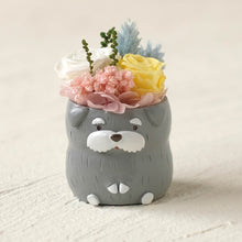 画像をギャラリービューアに読み込む, 小さな家族 シュナウザー ソルト&ペッパー 濃