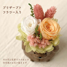 画像をギャラリービューアに読み込む, 小さな家族 トイプードル ブラウン