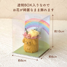 画像をギャラリービューアに読み込む, 小さな家族 トイプードル アプリコット