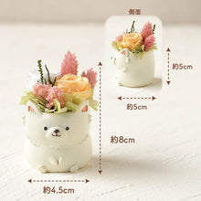 画像をギャラリービューアに読み込む, 小さな家族 チワワ ホワイト