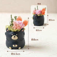 画像をギャラリービューアに読み込む, 小さな家族 チワワ ブラックタン