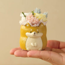 画像をギャラリービューアに読み込む, 小さな家族 柴犬 アカ