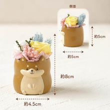 画像をギャラリービューアに読み込む, 小さな家族 柴犬 アカ