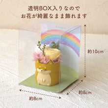 画像をギャラリービューアに読み込む, 小さな家族 柴犬 アカ