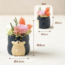 画像をギャラリービューアに読み込む, 小さな家族 柴犬 クロ