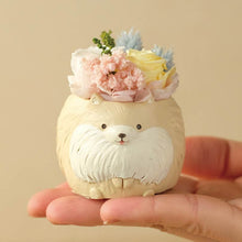 画像をギャラリービューアに読み込む, 小さな家族 ポメラニアン クリーム