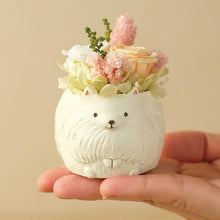 画像をギャラリービューアに読み込む, 小さな家族 ポメラニアン ホワイト