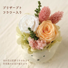 画像をギャラリービューアに読み込む, 小さな家族 ポメラニアン ホワイト